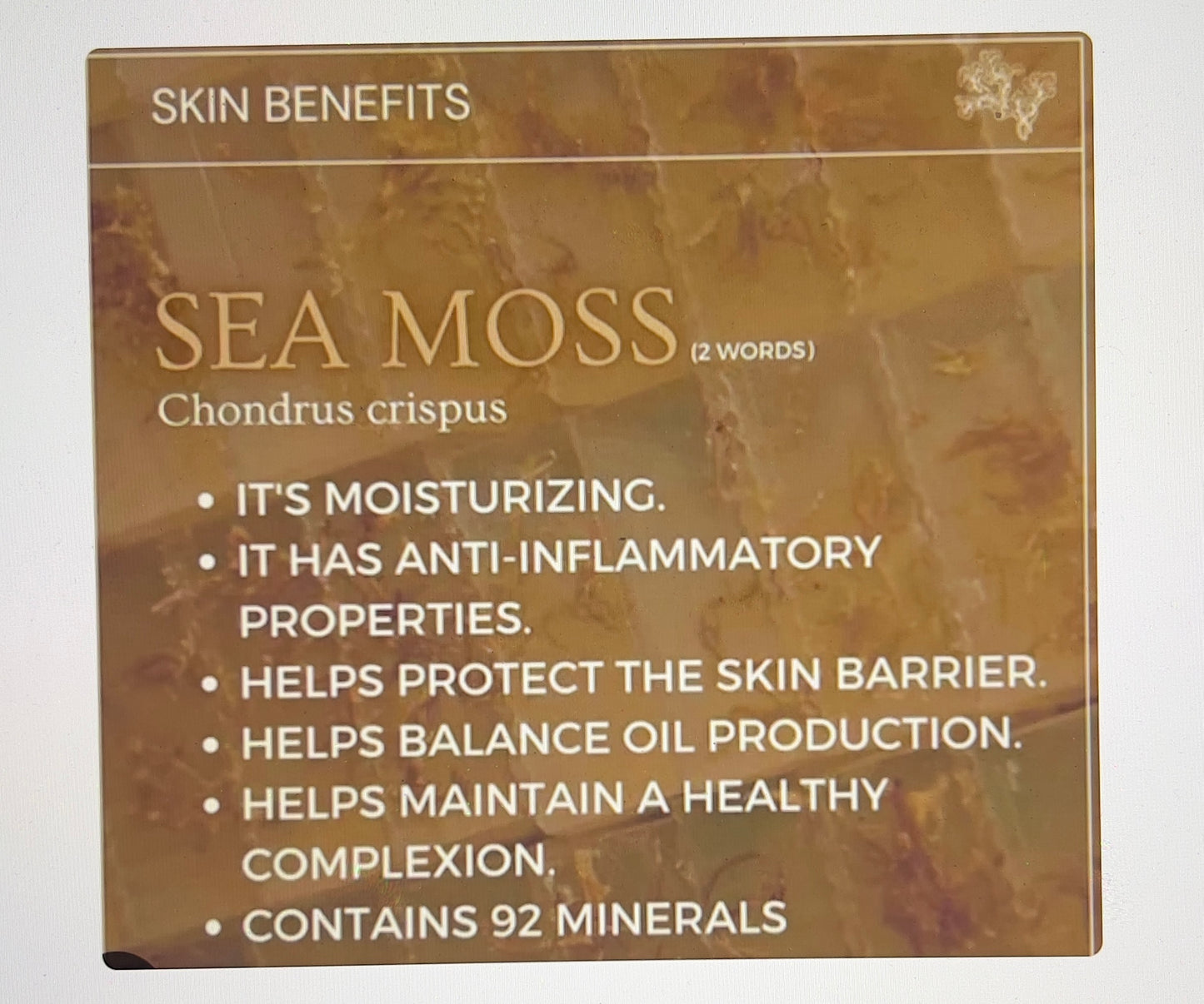 Sea Moss+Aloe Bar Soap