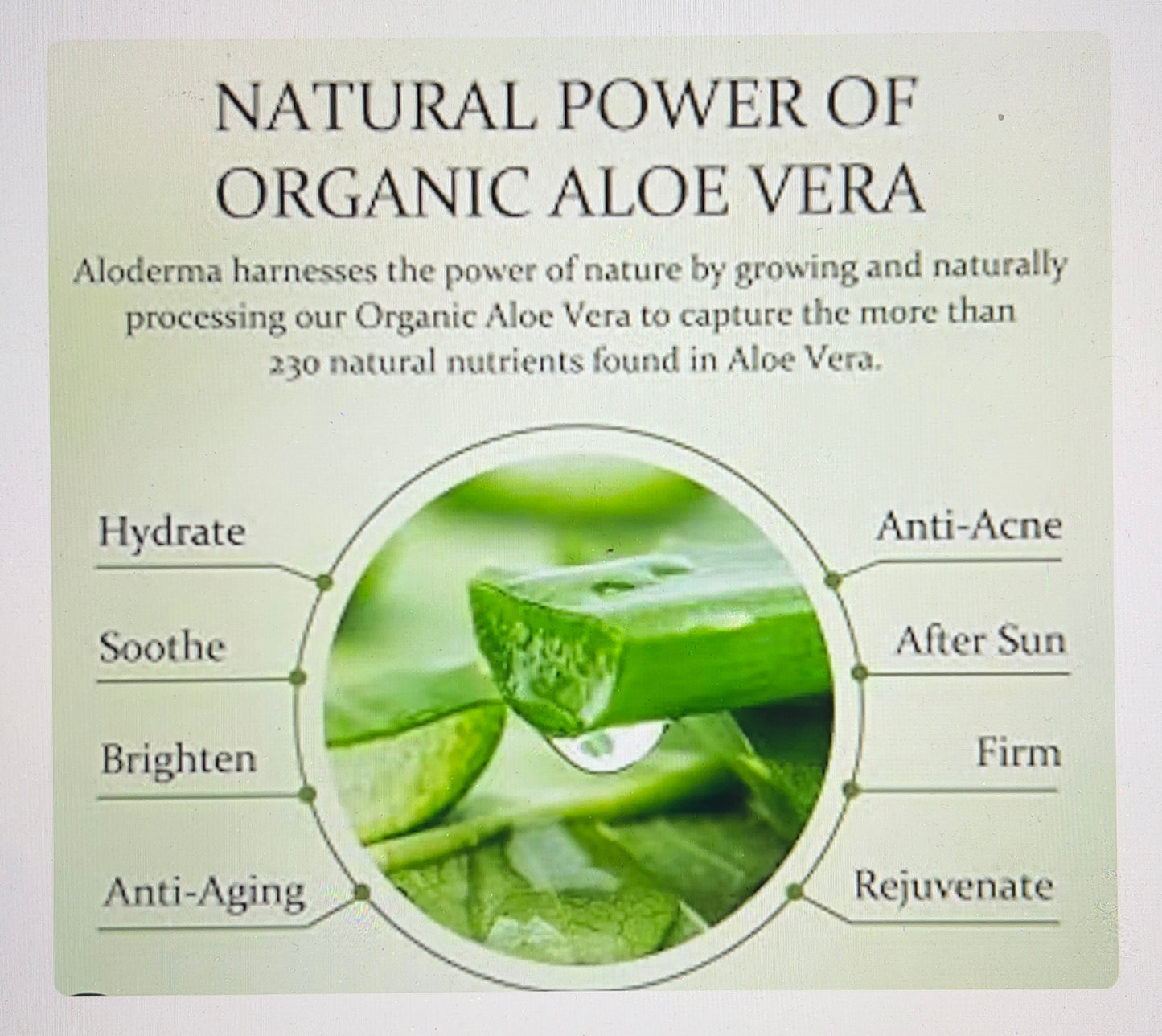 Sea Moss+Aloe Bar Soap